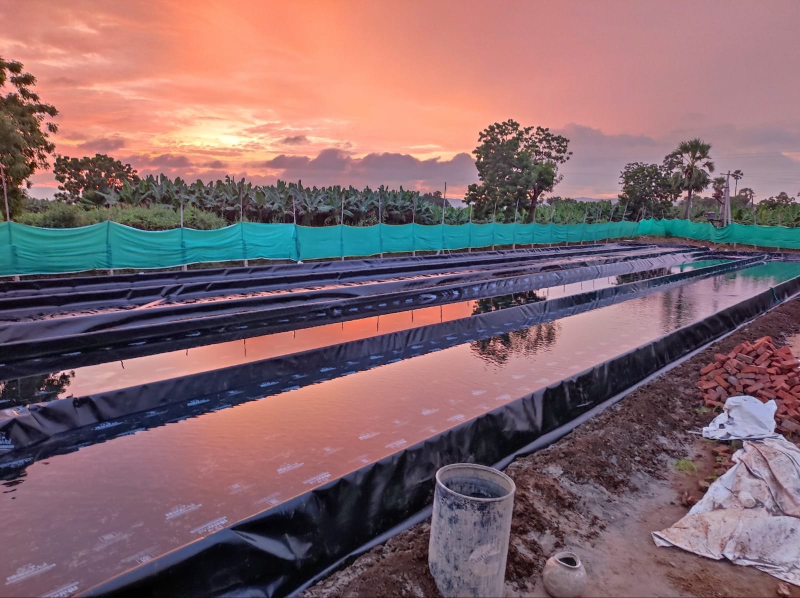 https://goeliteglobal.com/wp-content/uploads/2024/09/Spirulina-Farming-UnitA.jpg